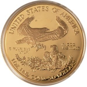 2003-W 1 oz Proof American Gold Eagle Coin (Box + CoA)