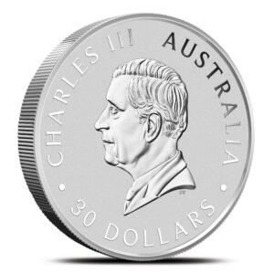 2025 1 Kilo Australian Silver Koala Coin (BU)